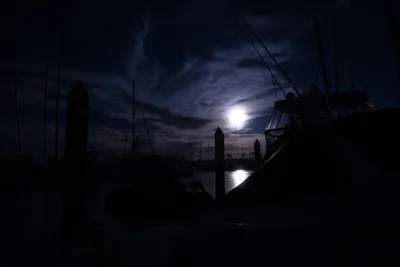 DSC_0886 (Large).JPG